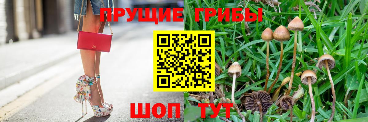 Галлюциногенные грибы прущие грибы  Вход с VPN  Новочеркасск 